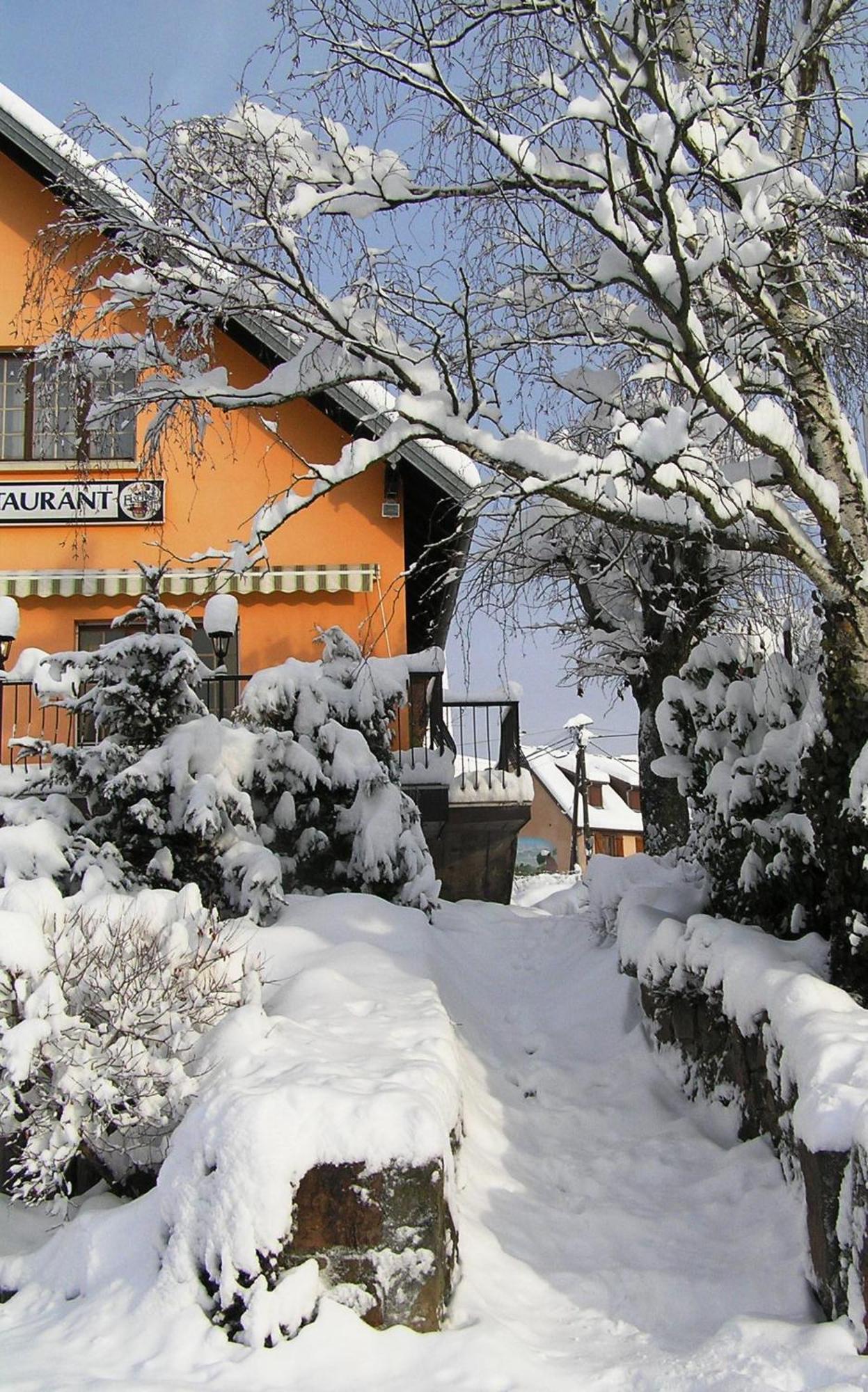A l'Arbre Vert Wintzfelden Exterior foto