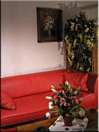 A l'Arbre Vert Wintzfelden Interior foto